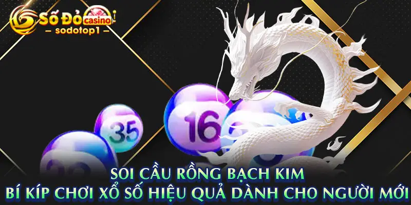 Soi Cầu Rồng Bạch Kim: Bí Kíp Chơi Xổ Số Hiệu Quả Dành Cho Người Mới